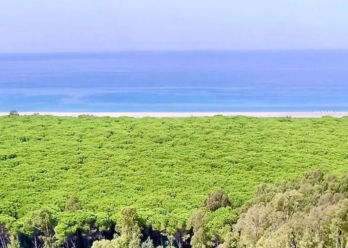 Club One Bed 76g شقة بيتسو