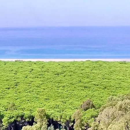 Club One Bed 76g Daire Pizzo (Calabria)